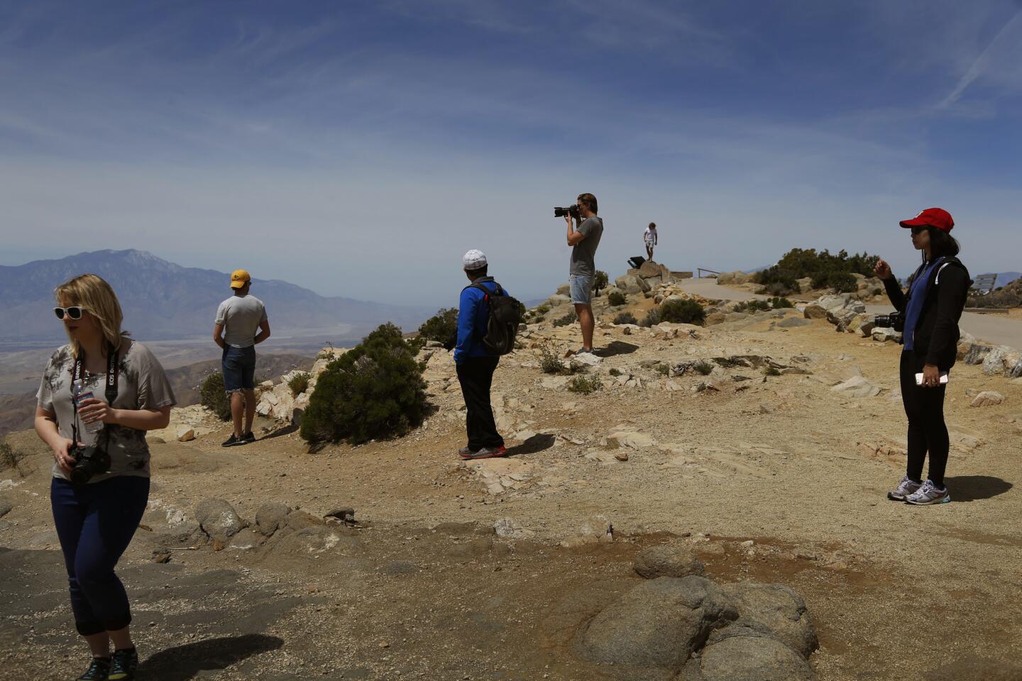 Joshua Tree