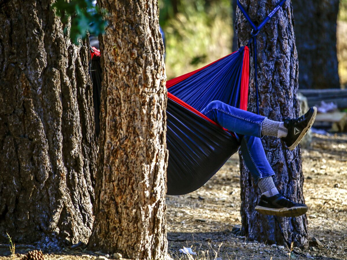 A scene from Mountain Oak campground, open May through October, in Angeles National Forest.