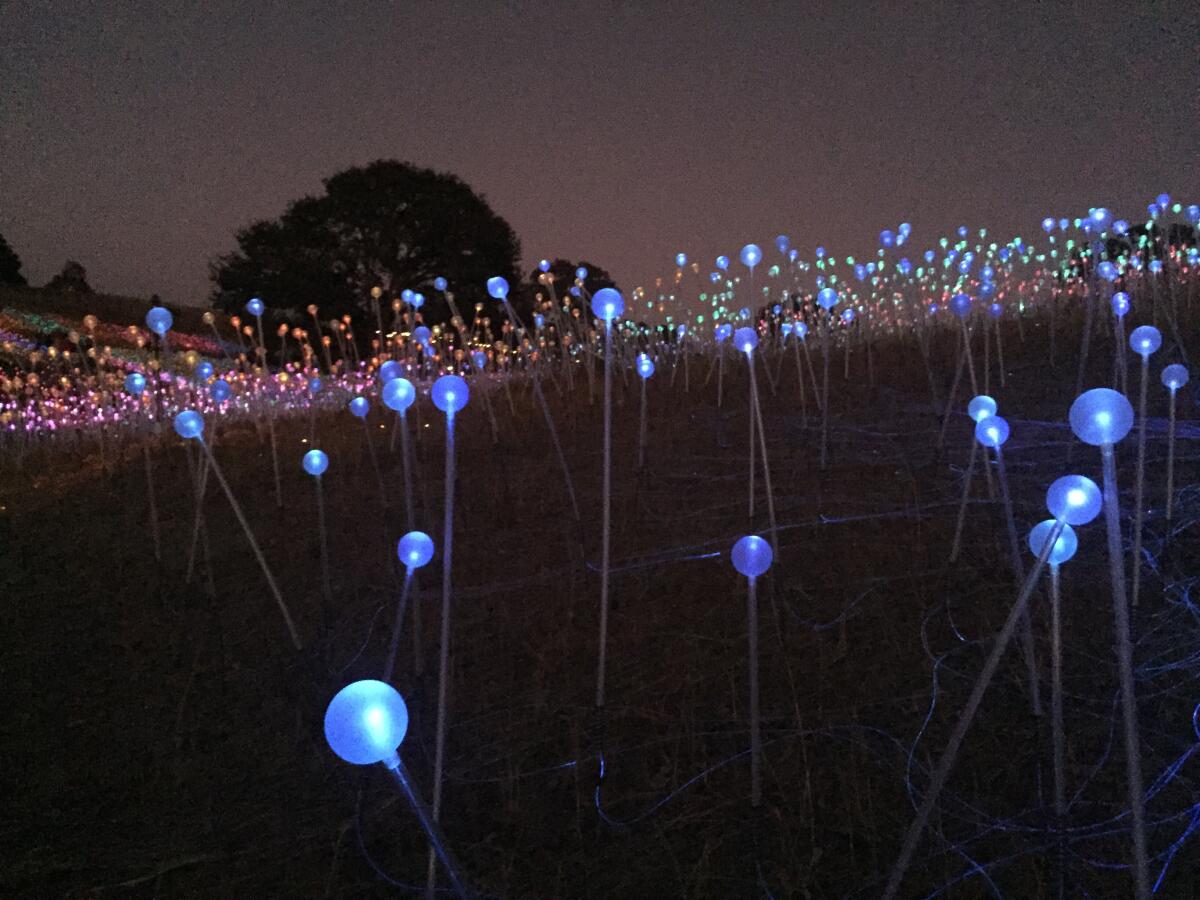 Bruce Munro's "Field of Light" 