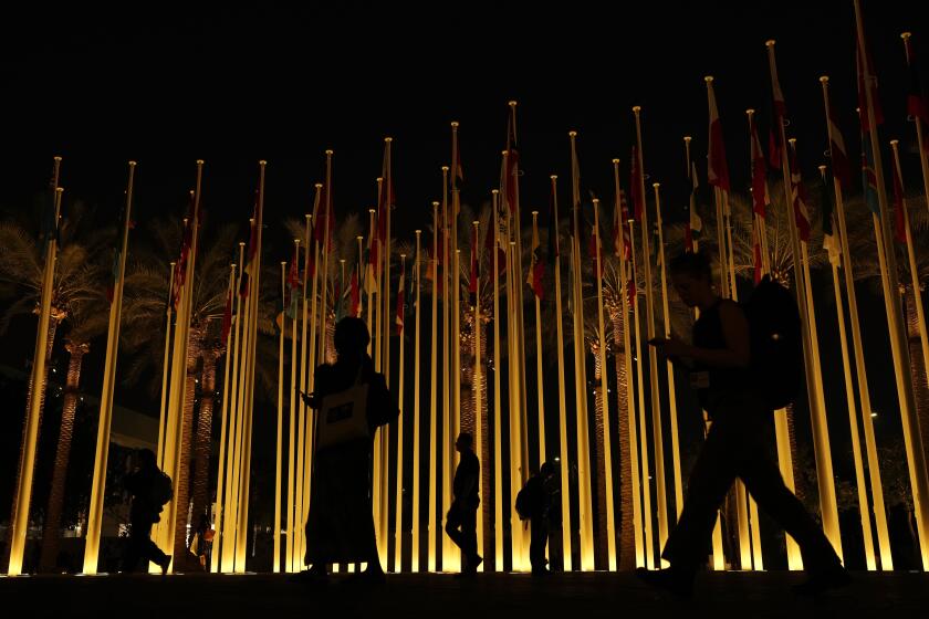 People walk near country's flags during the COP28 U.N. Climate Summit, Friday, Dec. 8, 2023, in Dubai, United Arab Emirates. (AP Photo/Rafiq Maqbool)