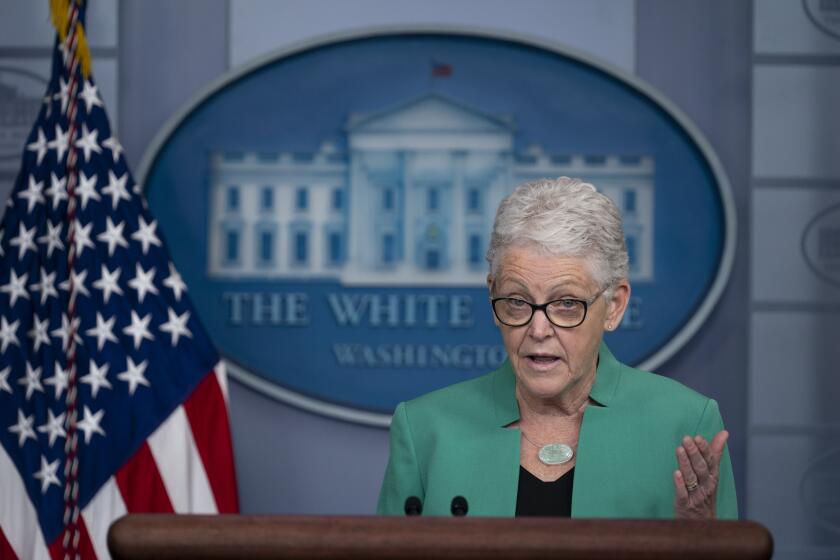 National Climate adviser Gina McCarthy speaks during a press briefing at the White House, Thursday, April 22, 2021, in Washington. (AP Photo/Evan Vucci)