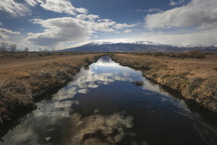 The clouds are reflected in the still waters of a water channel off Fish Slough Road in Bishop. With a season of record snowfall in the Sierras, the the Owens Valley is preparing for possible floods when the snowpack starts melting.