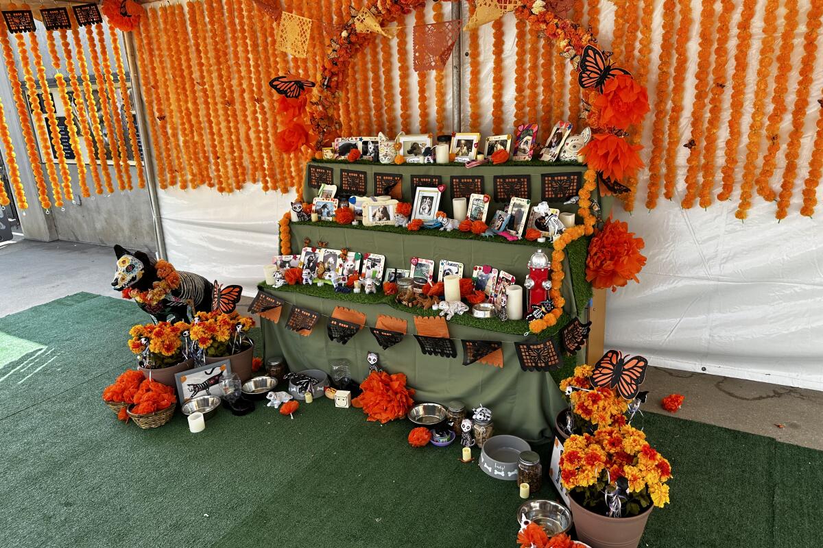 An altar covered with photos of pets and orange marigolds at the L.A. Zoo