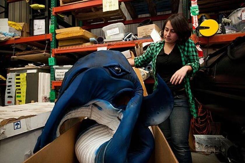 Greenpeace's Hope Kaye pulls out the whale costume used by activists to protest against Japan's whaling plans. See full story
