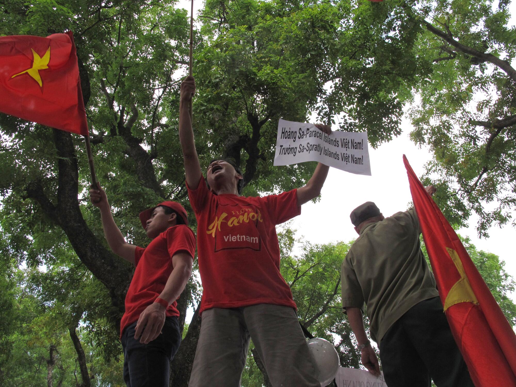 Protesters wave red Vietnamese flags and hold signs