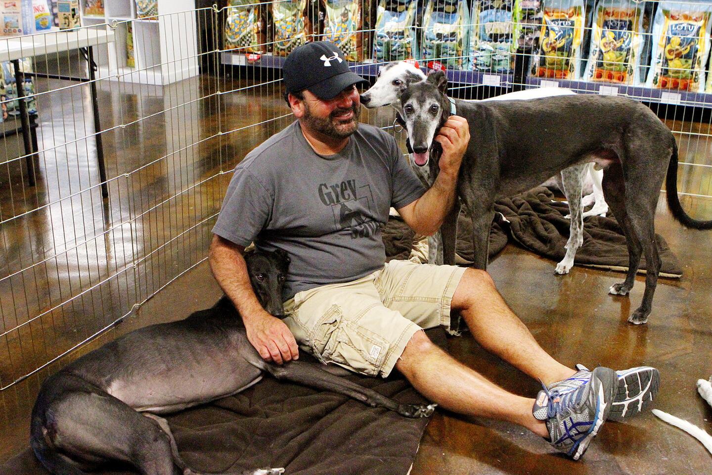 Photo Gallery: Grey Save showcases greyhounds at Centinela in Burbank