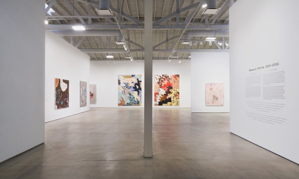 a gallery space 