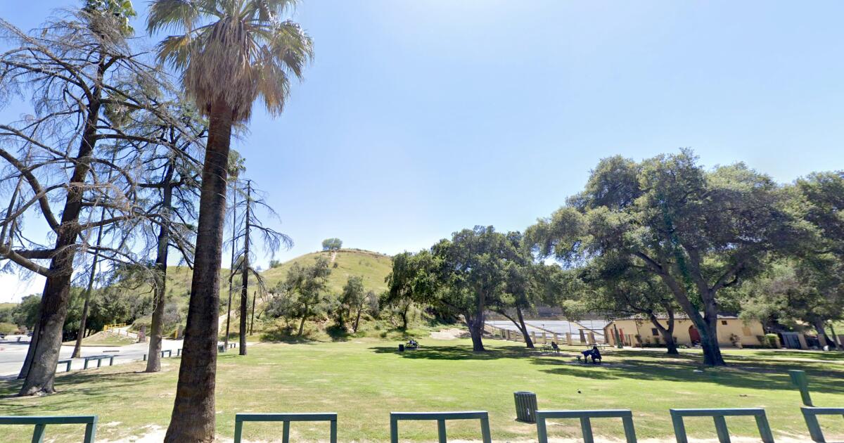 Stray canine maul girl to demise in California park; cop kills pit bull Stray canine maul girl to demise in California park; cop kills pit bull