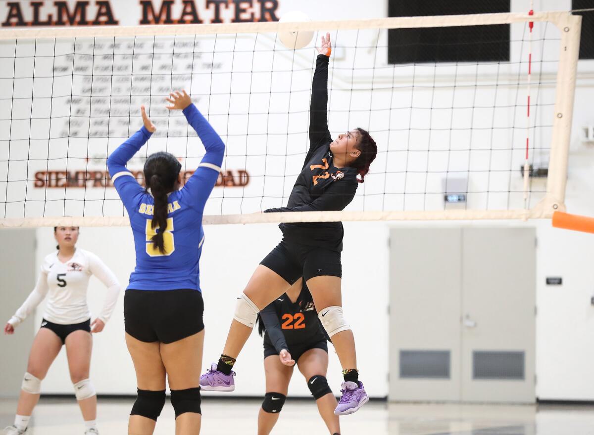 Los Amigos outside hitter Catalina Guardado (72) hits a ball over the net against Channel Islands on Tuesday.