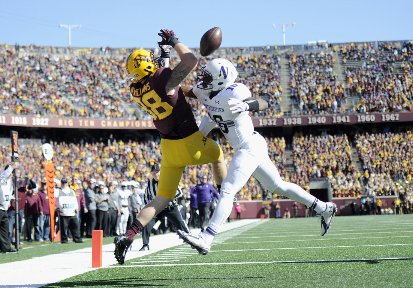 Northwestern's Godwin Igwebuike breaks up a touchdown pass intended for Minnesota's Maxx Williams during the second half.