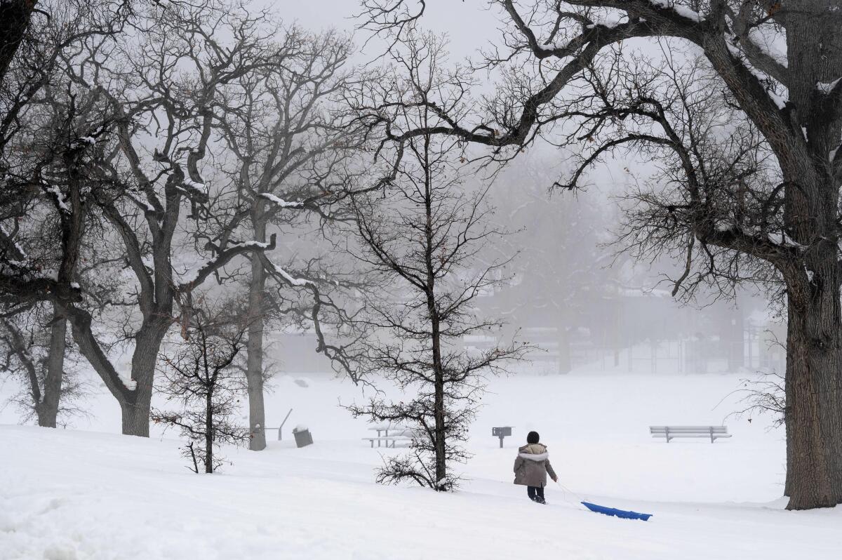 Una persona tira de un trineo en la nieve en Frazier Park el lunes 27 de febrero de 2023, en California. 