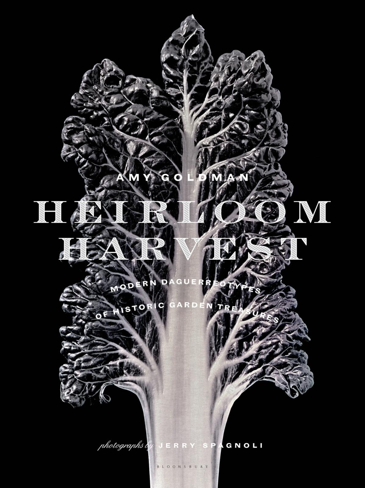 "Heirloom Harvest" by Amy Goldman and Jerry Spagnoli