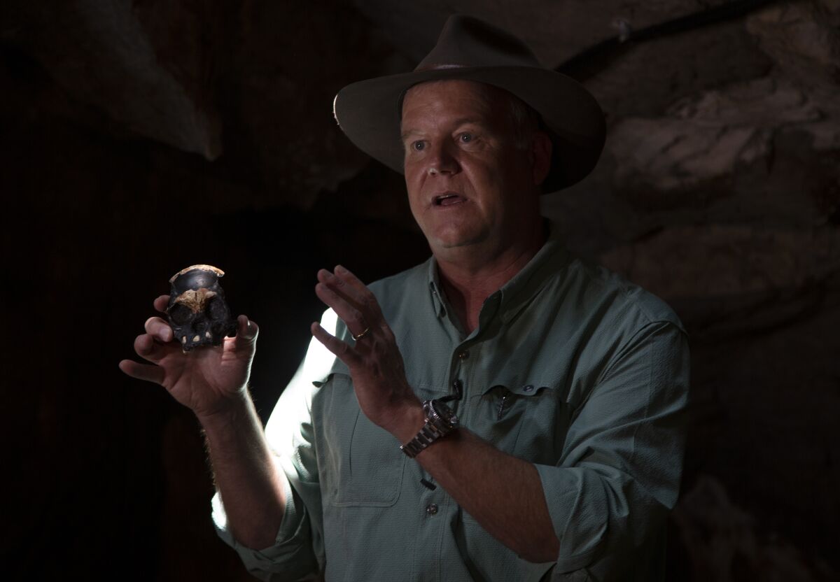 Professor Lee Berger, from the University of the Witwatersrand, holds a replica of the discovered Homo Naledi fossil inside the Rising Star Cave in the Cradle of Humankind World Heritage Site near Johannesburg, Thursday, Nov. 4, 2021. Homo naledi is a species of archaic human discovered in the Rising Star Cave, Cradle of Humankind, South Africa dating to the Middle Pleistocene 335,000–236,000 years ago. (AP Photo/Denis Farrell)