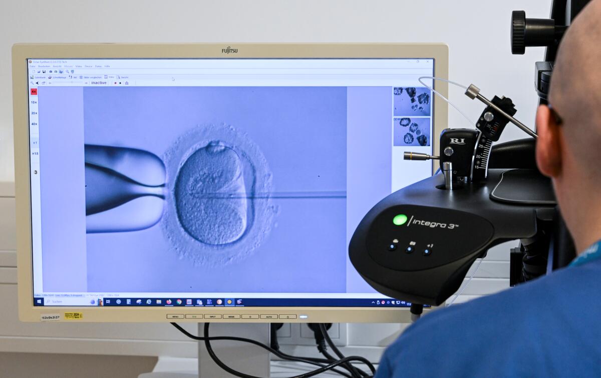 The image on a computer screen shows a needle fertilizing an egg as a technician works through a microscope