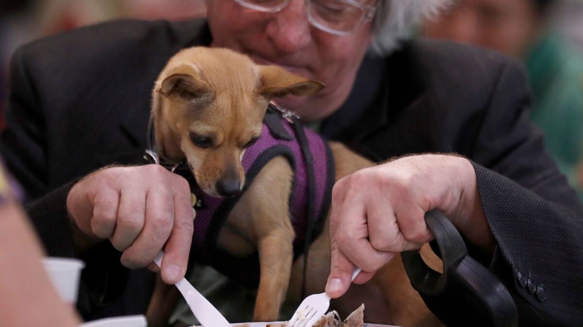 Jim Foley, 62, shares a free Christmas meal with his dog, Isabelle, at Hollywood United Methodist Church.