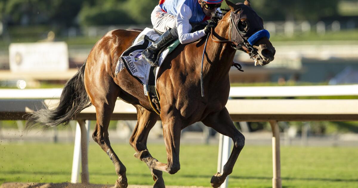 Muth, le favori des Preakness Stakes, exclu de la course à cause de la fièvre