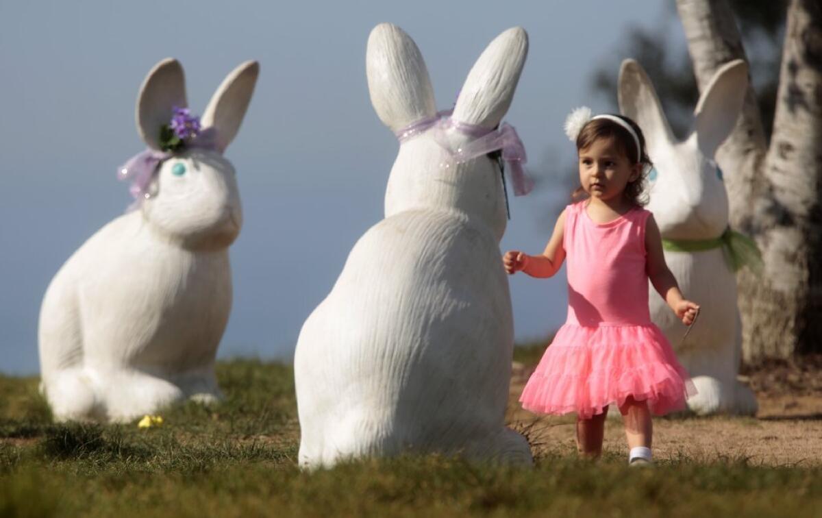Samantha Earley, 2, is spellbound by the large concrete bunnies placed in Newport Beach Civic Center Park last week.