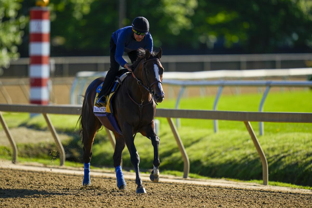 Preakness Stakes entrant Imagination works out Thursday ahead of the 149th running of the Preakness Stakes 