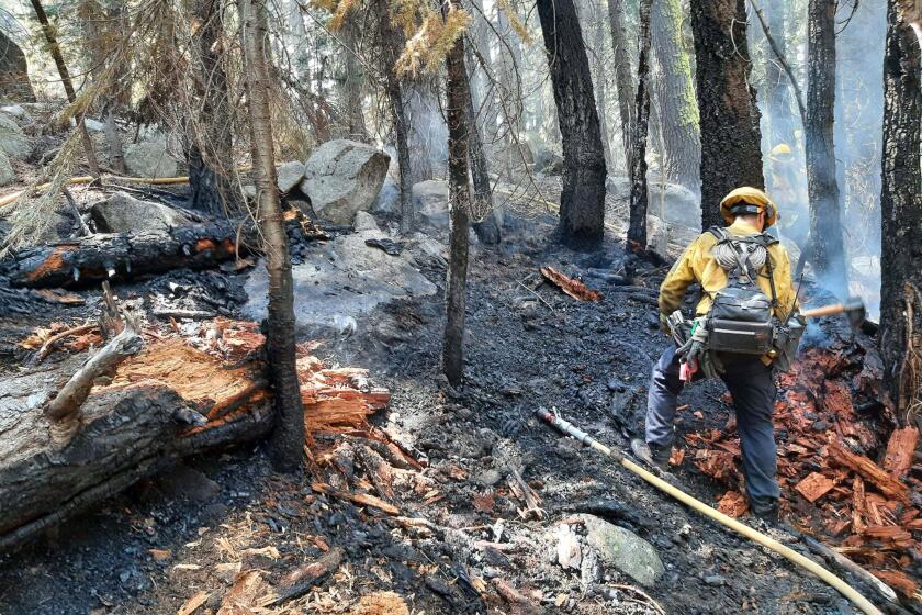 A firefighter puts out hot spots on an arson fire near South Lake Tahoe.