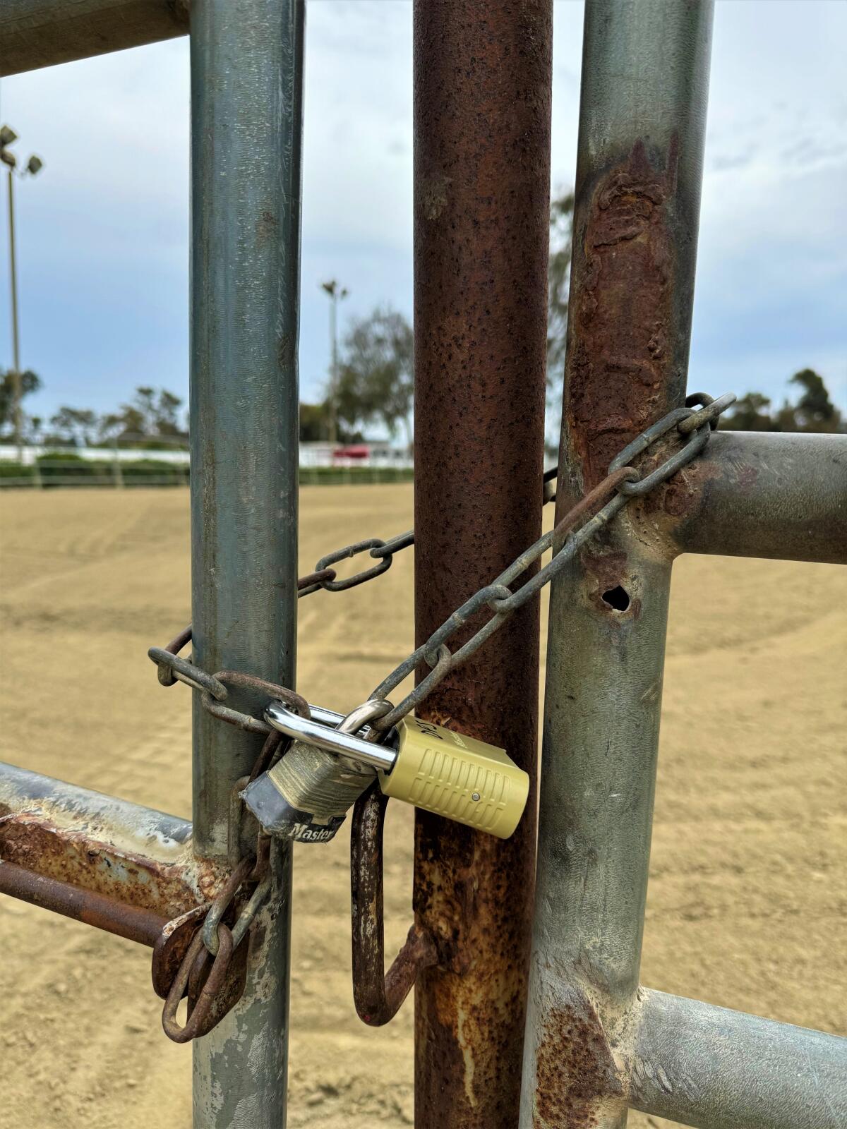 Padlocks installed Thursday, Aug. 1,  on the gate of an arena at the O.C. fairgrounds' Equestrian Center.