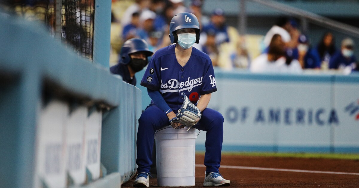 로스앤젤레스 카운티에서 가장 많은 코로나 바이러스에 감염된 젊은이들 로스앤젤레스 카운티에서 가장 많은 코로나 바이러스에 감염된 젊은이들