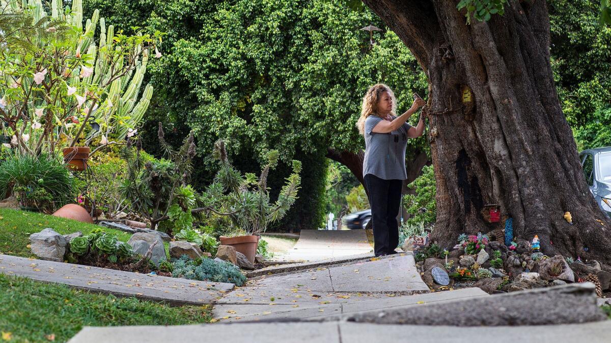 You can see how badly the sidewalk is buckled. Rita Tateel says the fairy tree forces people to slow down, and watch their step.