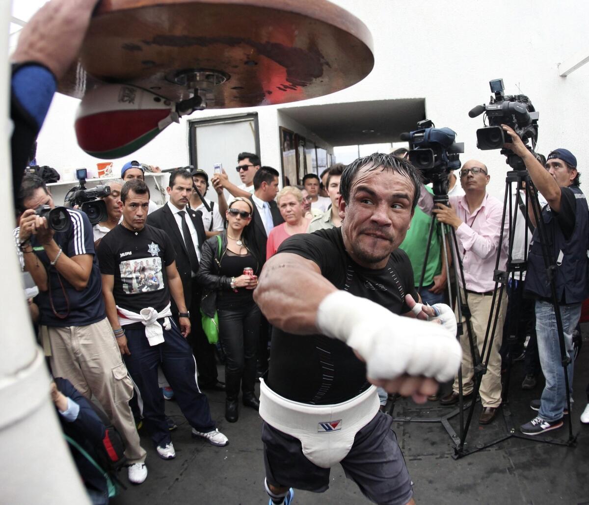 Juan Manuel Marquez takes part in a training session open to the media while preparing for his upcoming fight against Timothy Bradley.