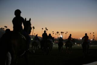 FILE - In this Oct. 28, 2014, file photo, exercise riders and horses walk along the track during morning workouts for the Breeders' Cup races at Santa Anita Park in Arcadia, Calif. A person with direct knowledge of the situation says a 21st horse has died at Santa Anita. The person spoke to The Associated Press on the condition of anonymity Tuesday, March 5, 2019, because the fatality has not been announced publicly. A total of 21 horses have died since the racetrack's winter meet began on Dec. 26. (AP Photo/Jae C. Hong, File)