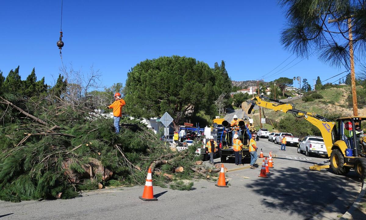 A Liberty Utilities crew prepares to fix a 12-inch water main that broke Tuesday morning, after a tree blown by high winds fell and its uplifted roots damaged the pipe.