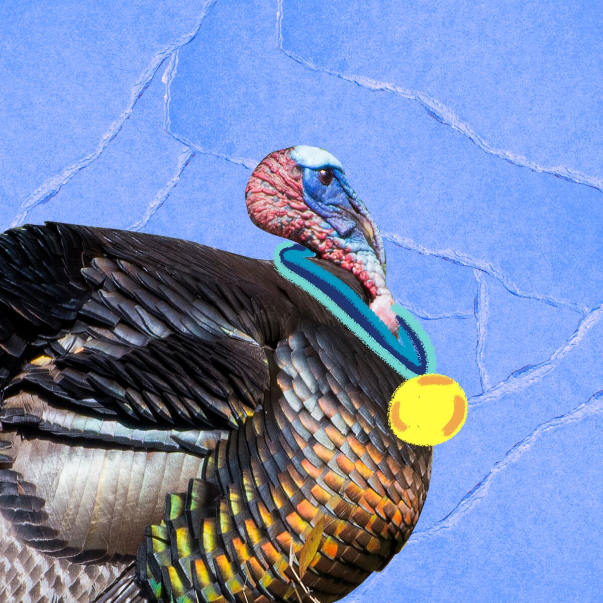 An illustration of a turkey with a gold medal on a ribbon around its neck. 
