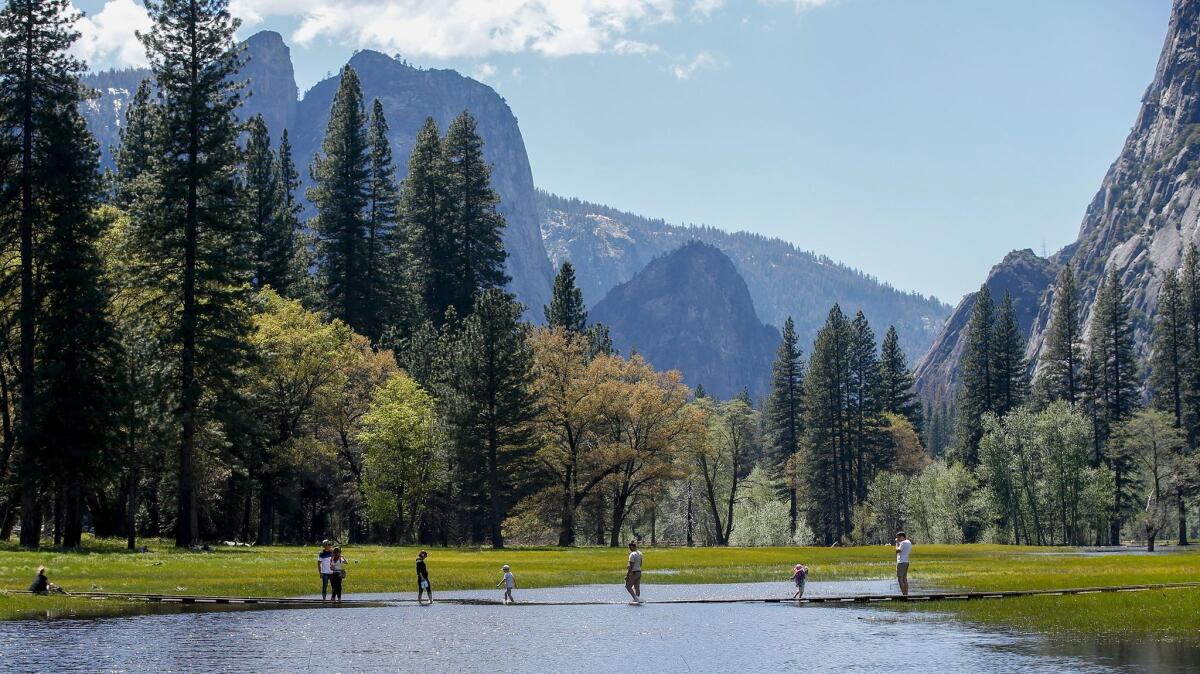 Overcrowding at national parks such as Yosemite and Zion have sparked discussions about how to reduce access.