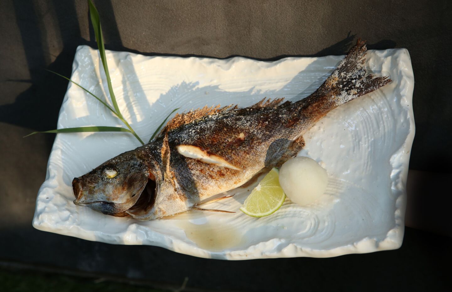 Isaki, whole fish seasoned with Japanese sea salt from Hokkaido and grilled over Binchotan charcoal.