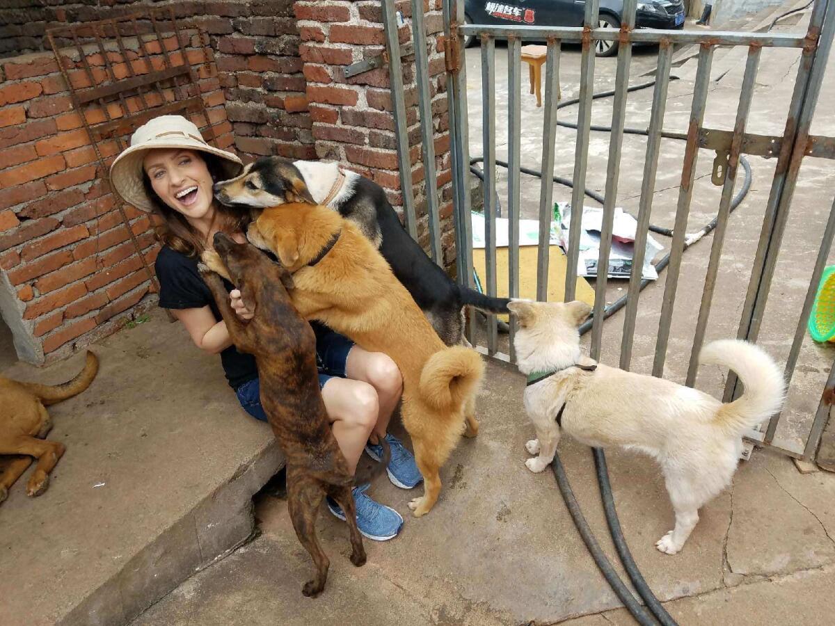 Valarie Ianiello plays with dogs rescued on trips to China
