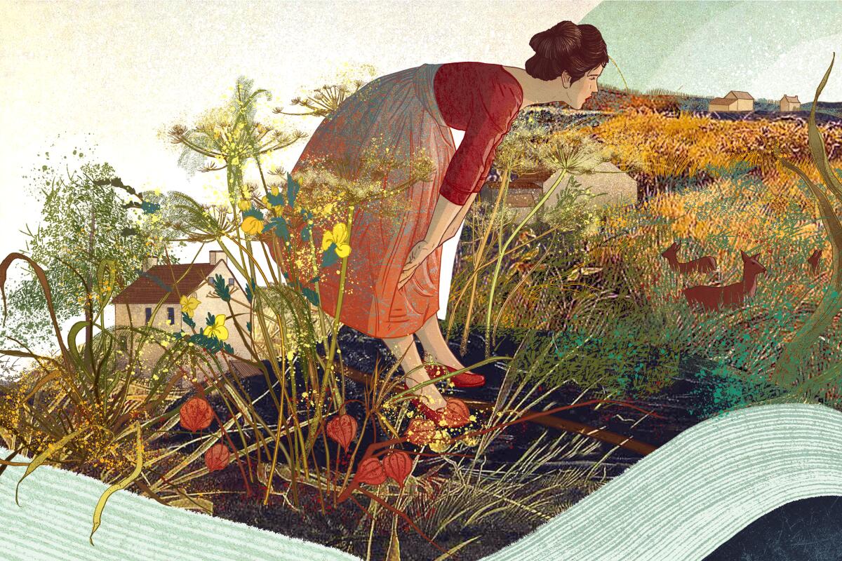 Illustration for United We Read of a woman examining the landscape