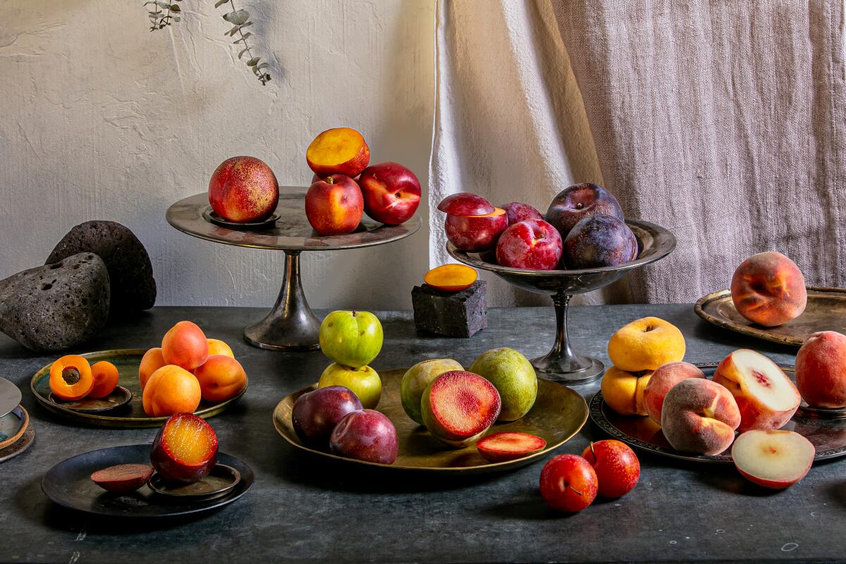 Plates and platters of stone fruit: peaches, nectarines, plums, apricots.