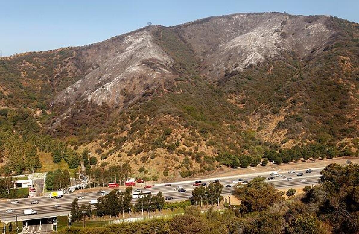 Heavy rains could cause mudslides in the hillsides of the Sepulveda Pass on the 405 Freeway, forecasters warned Sunday.