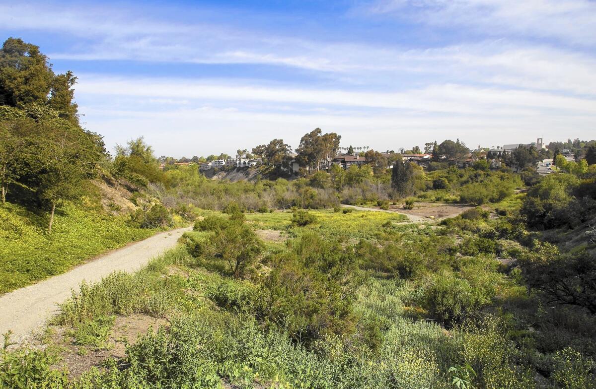 Plans for Big Canyon Nature Park, a 50-acre habitat in Newport Beach, include adding a network of trails that would loop around the reserve, connecting Jamboree Road with Back Bay Drive.