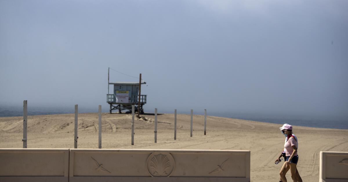 Para viver mais: adaptar, dar, conectar, crescer