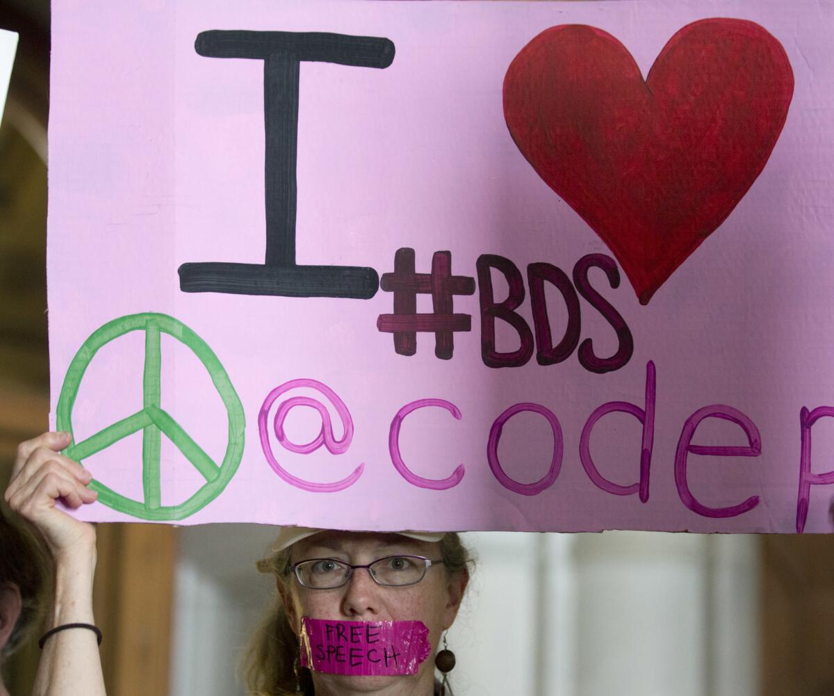 A supporter of the pro-Palestinian boycott, divestment and sanctions movement protests in Albany, N.Y., on June 15.