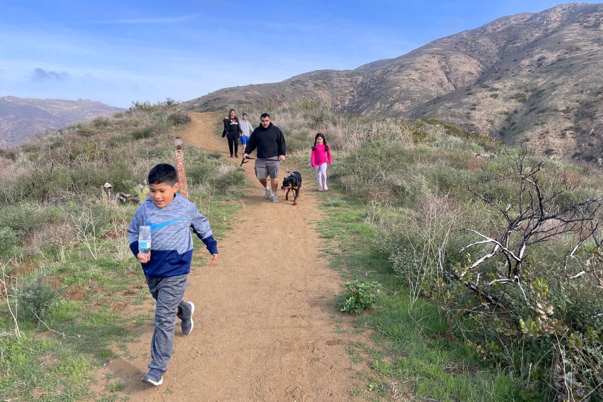 A boy runs in front of his family and their dog on the Nicholas Flat trail.