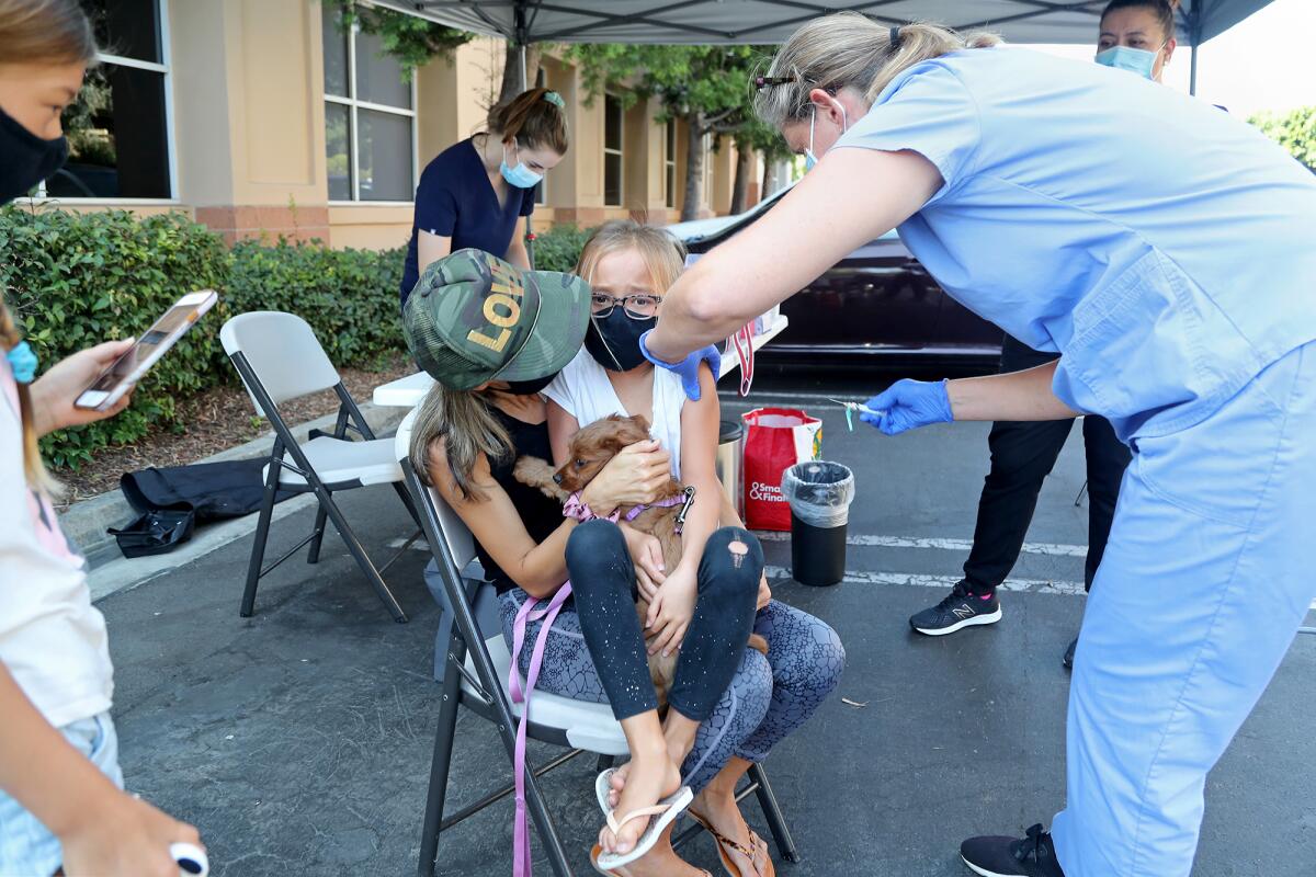 Halle Black, 8, holds onto Piper, her dog, as she sits on her mother Liz's lap after receiving a flu shot.