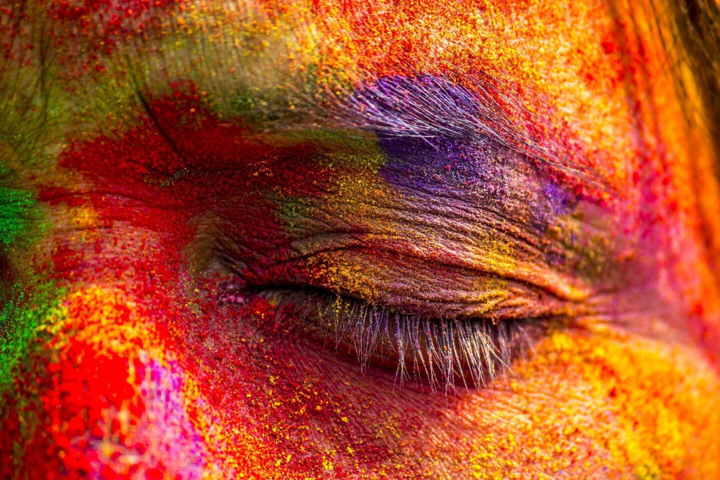 An Indian woman's face is smeared with colored powder during a Holi festival celebration in the Sivasagar district of northeastern Assam state.