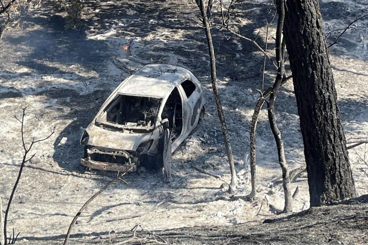 A burned-out car sits at the bottom of a hill among burned trees.