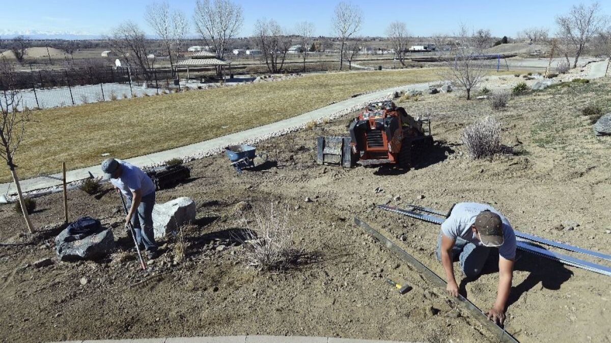 Workers in Commerce City, Colo. Landscapers rely heavily on visa programs for peak season help.