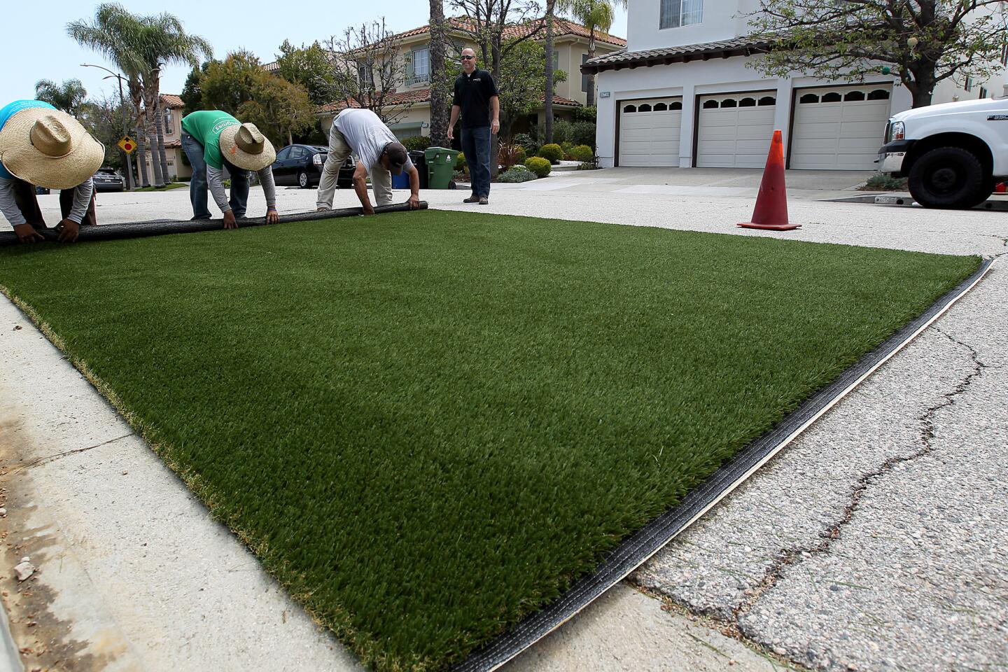 Synthetic lawn