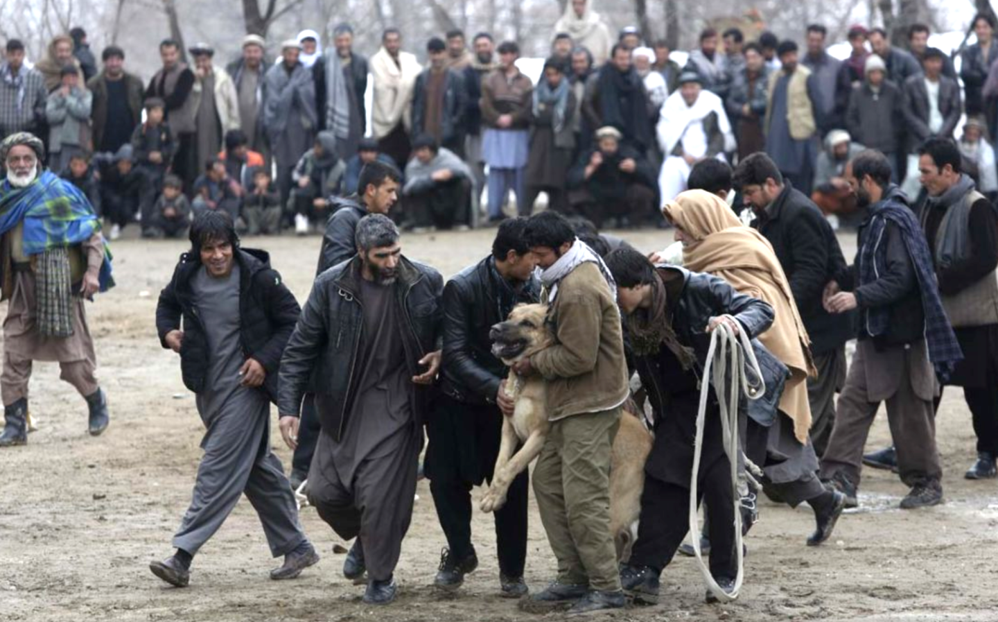 Peleas de perros en Kabul