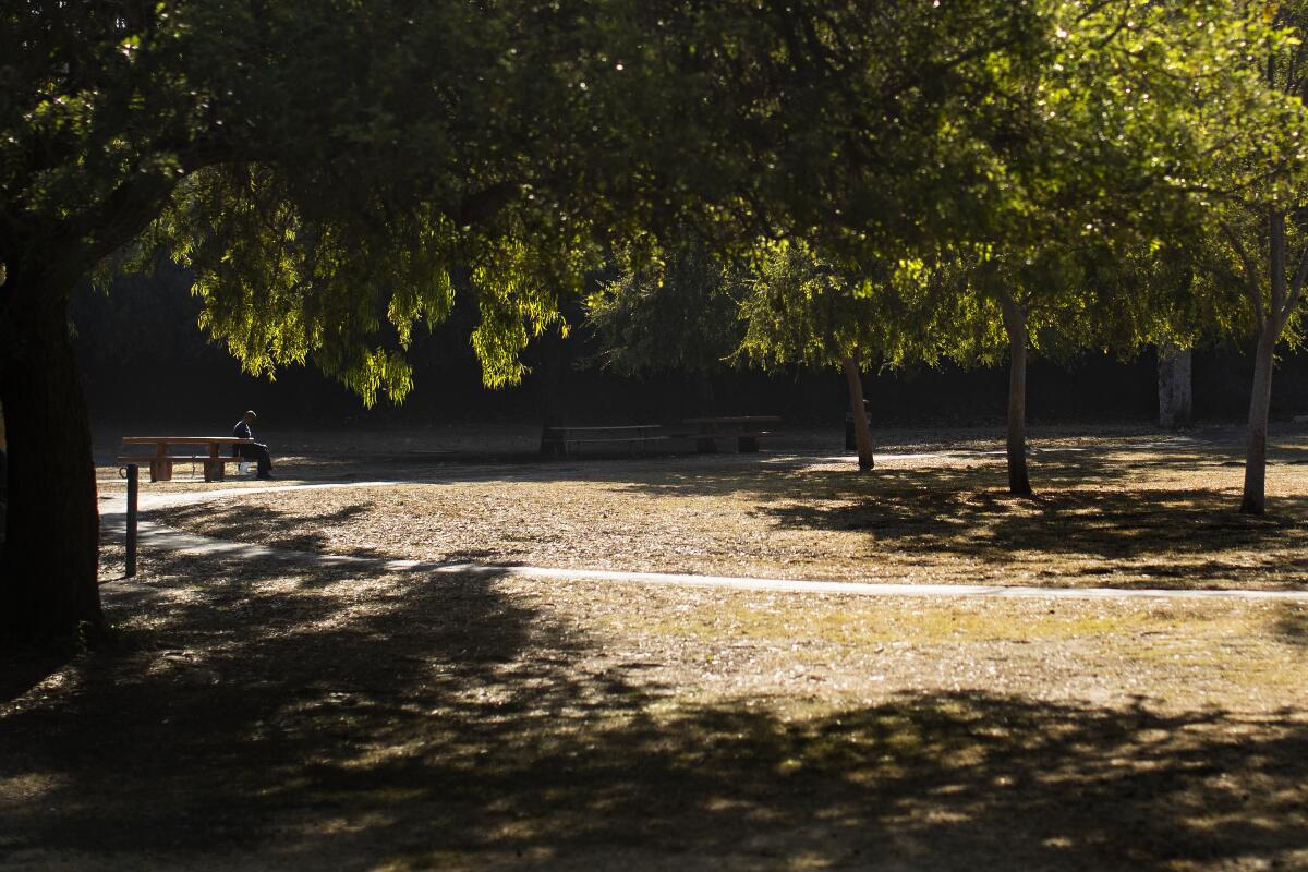The vast picnic area at Debs Park in Los Angeles.