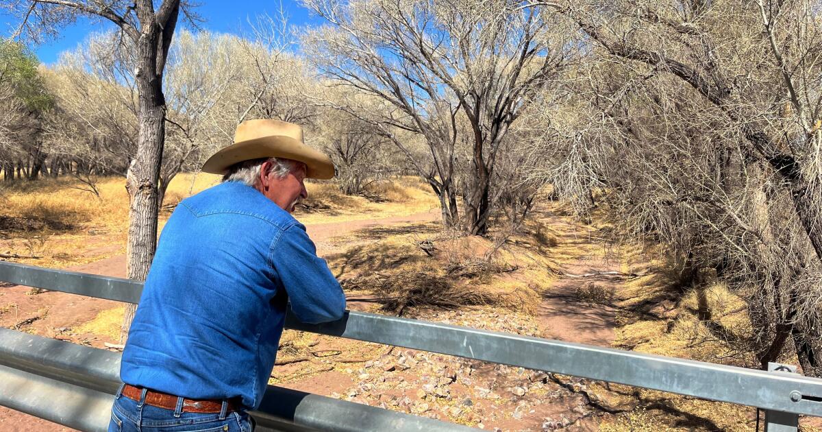 A rancher on the border with Mexico celebrates Trump’s return