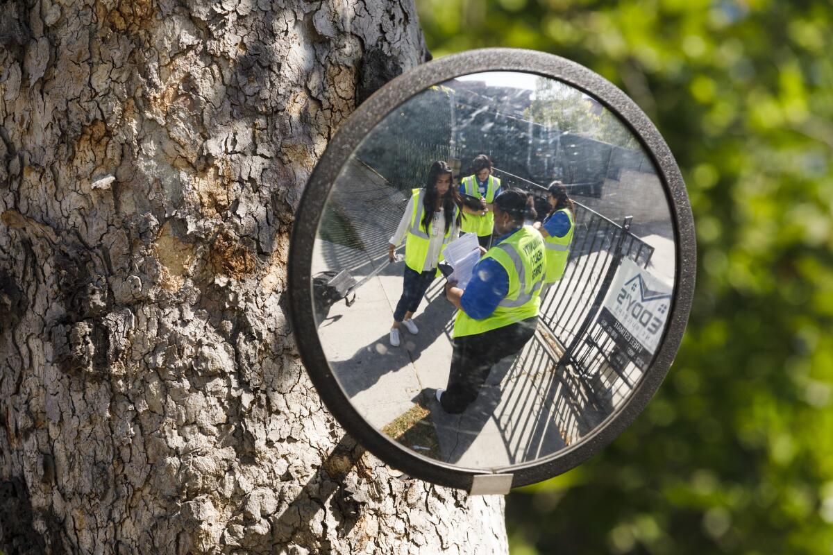 Four people in high-visibility vests are reflected in a mirror attached to a tree trunk.