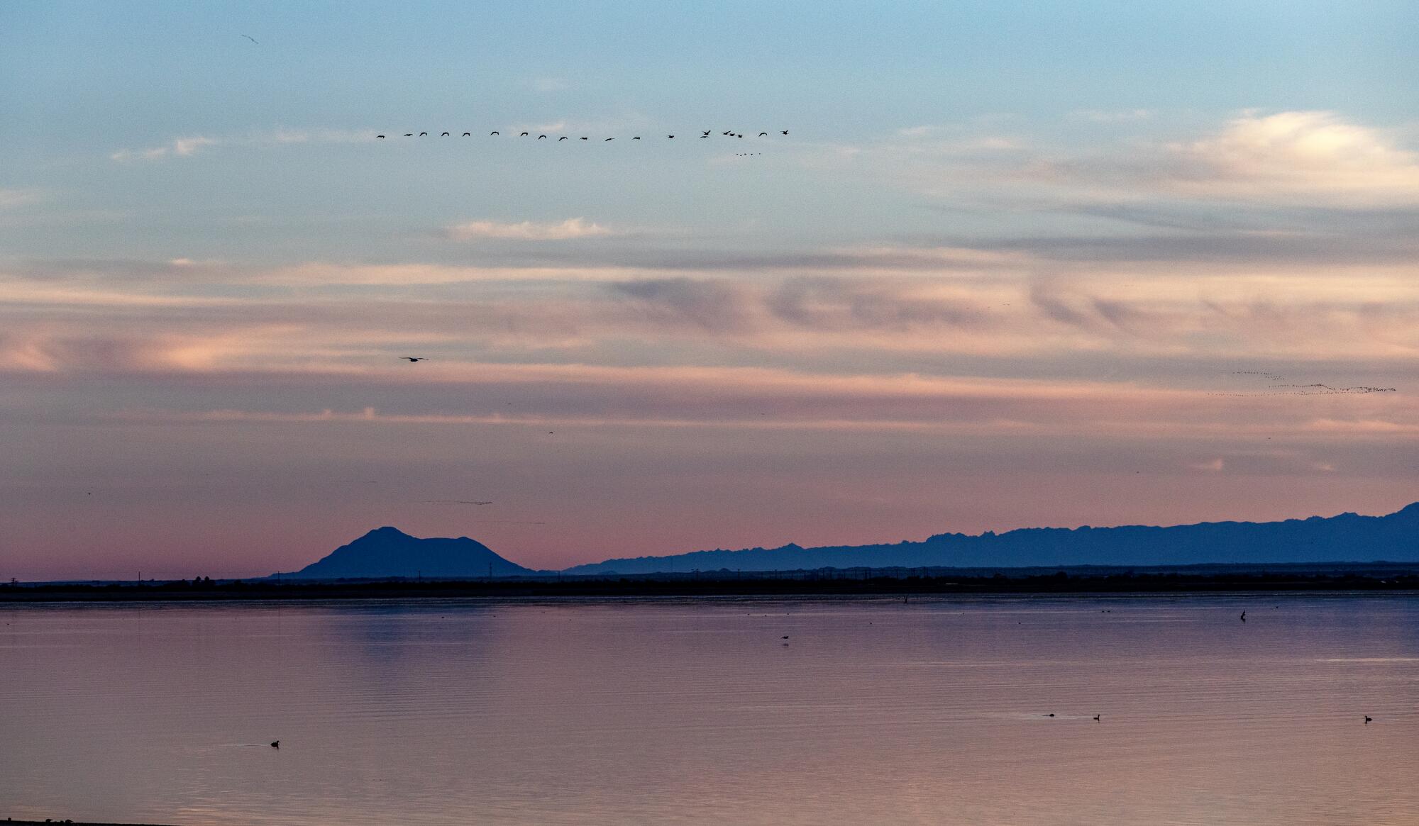 Dusk settles over a lake as birds fly in formation over it